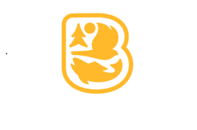 Licensed Business